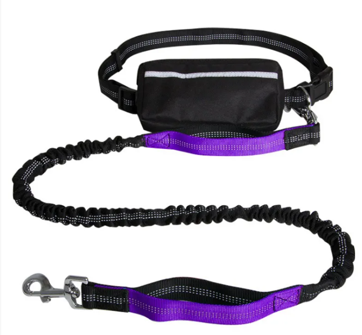 Hands-free dog leash