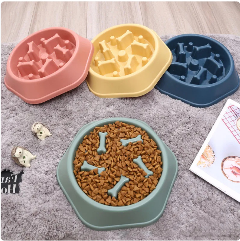 Slow feeder bowl