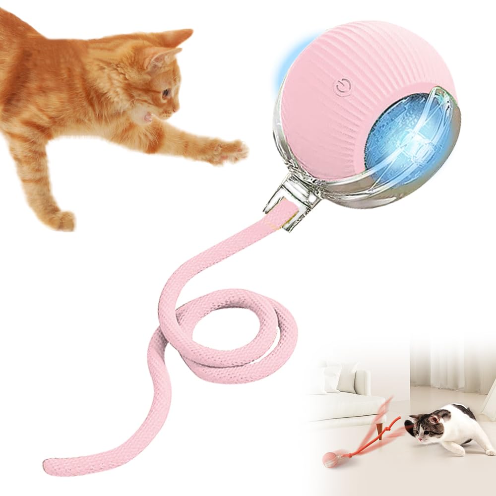 Interactive Cat Toy Ball
