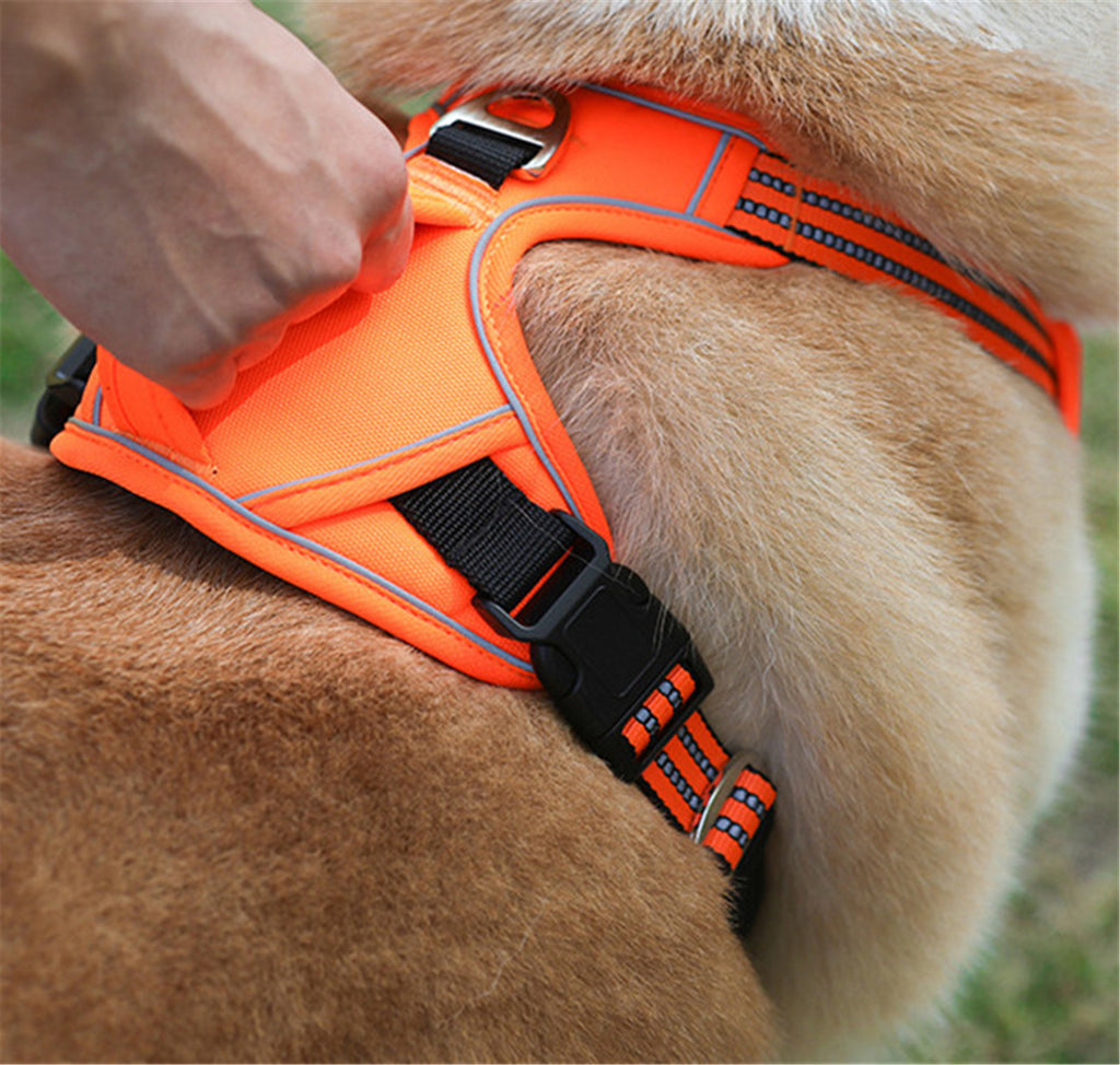 Rugged Outdoor Pet Harness with Handle