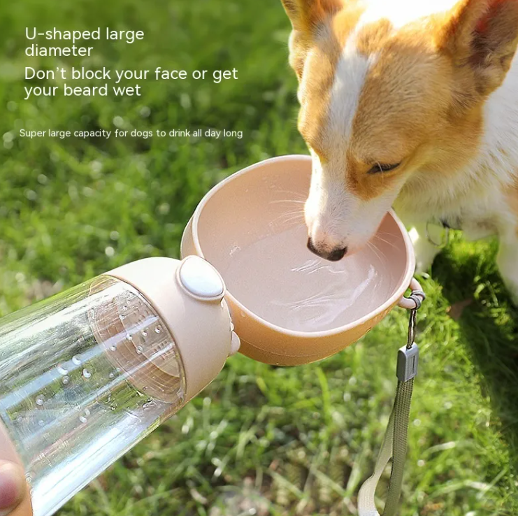 Portable pet water bottle