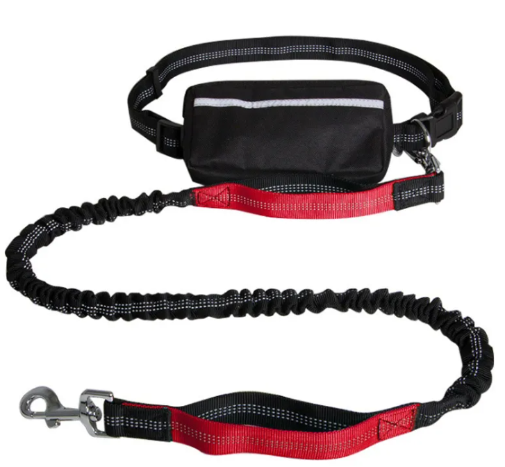 Hands-free dog leash