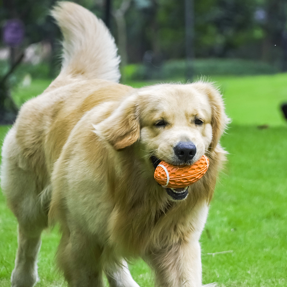 Durable Football Dog Toy