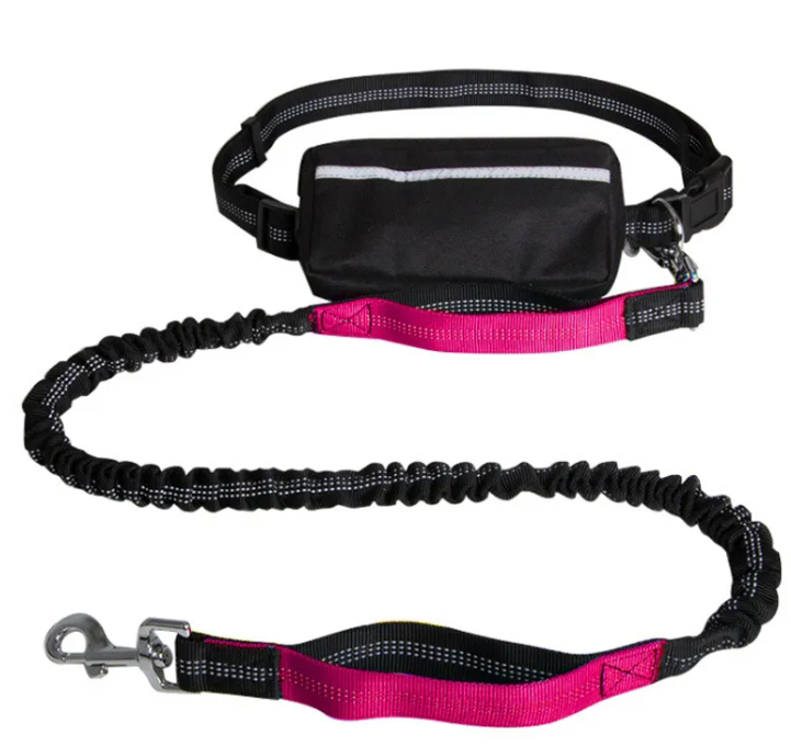 Hands-free dog leash