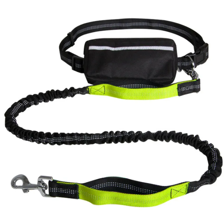Hands-free dog leash