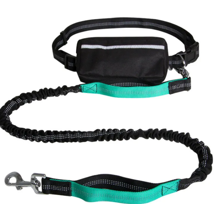 Hands-free dog leash